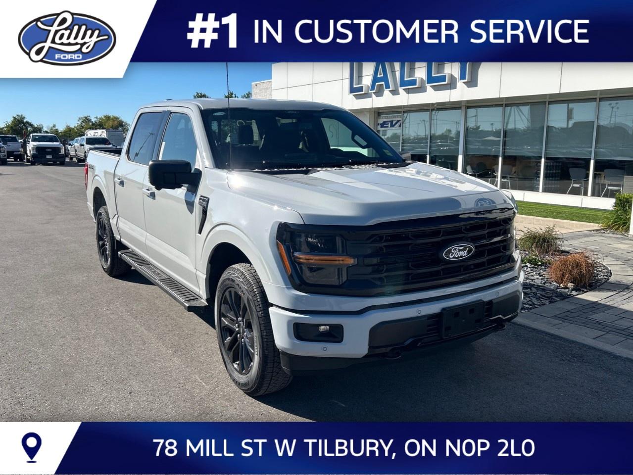 2026 Ford F-150 XLT 4WD SuperCrew 5.5' Box Photo