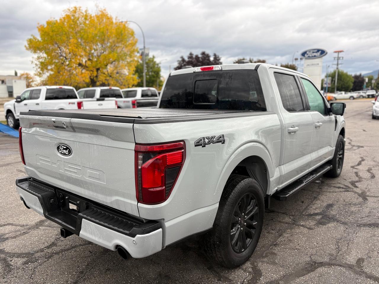 2024 Ford F-150 XLT Photo4
