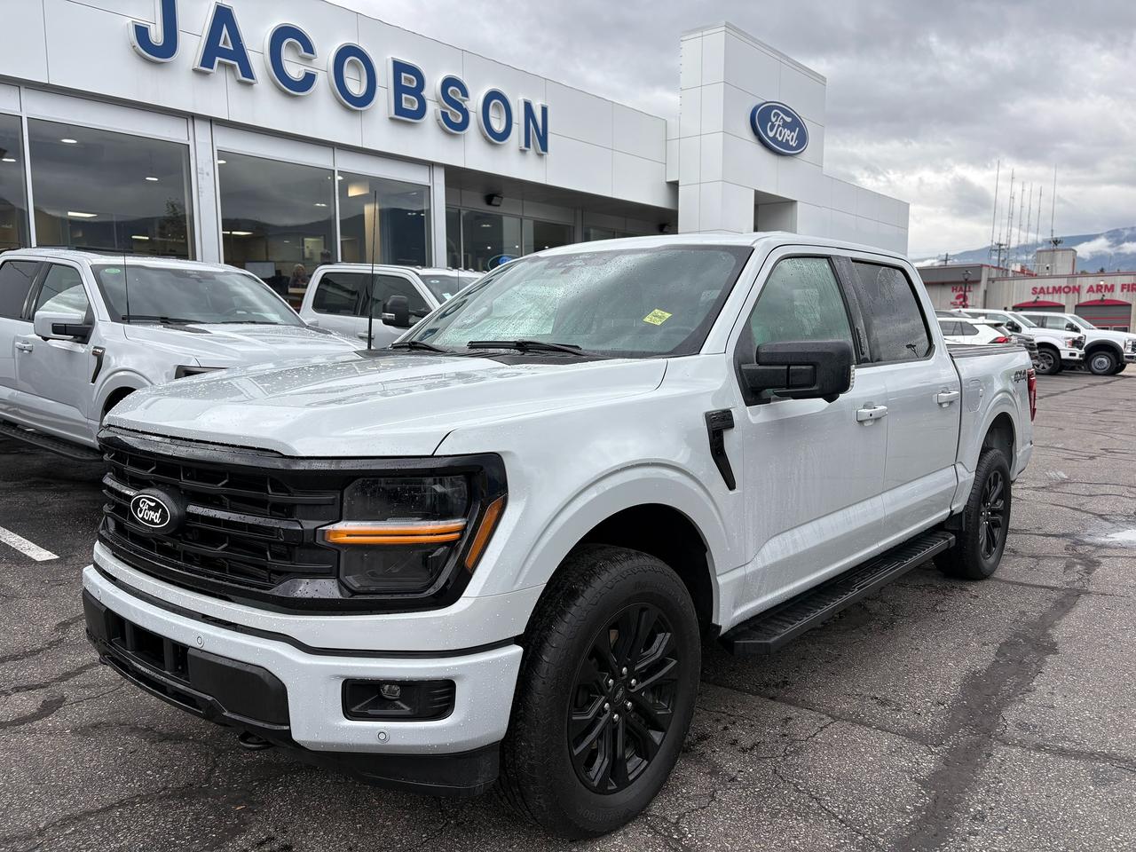 2024 Ford F-150 XLT Photo0