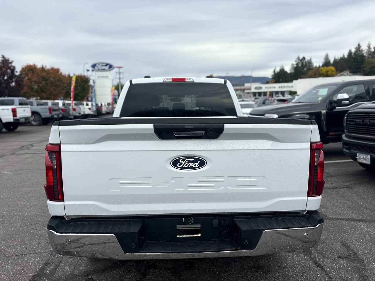 2024 Ford F-150 XLT Photo3