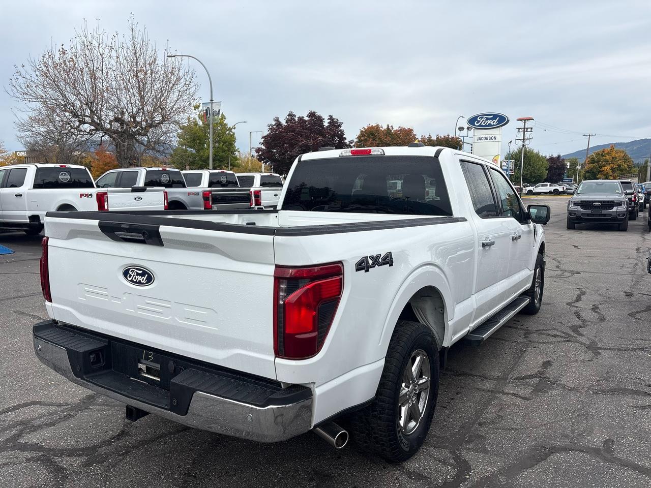 2024 Ford F-150 XLT Photo4