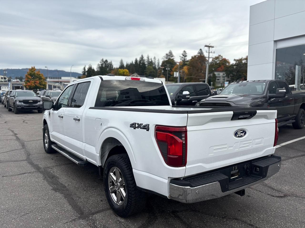 2024 Ford F-150 XLT Photo2