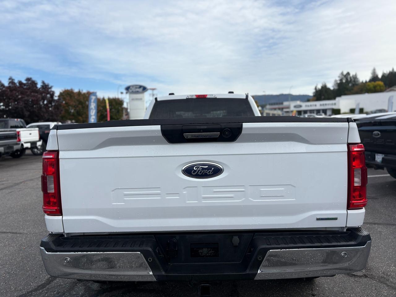 2023 Ford F-150 XLT Photo3