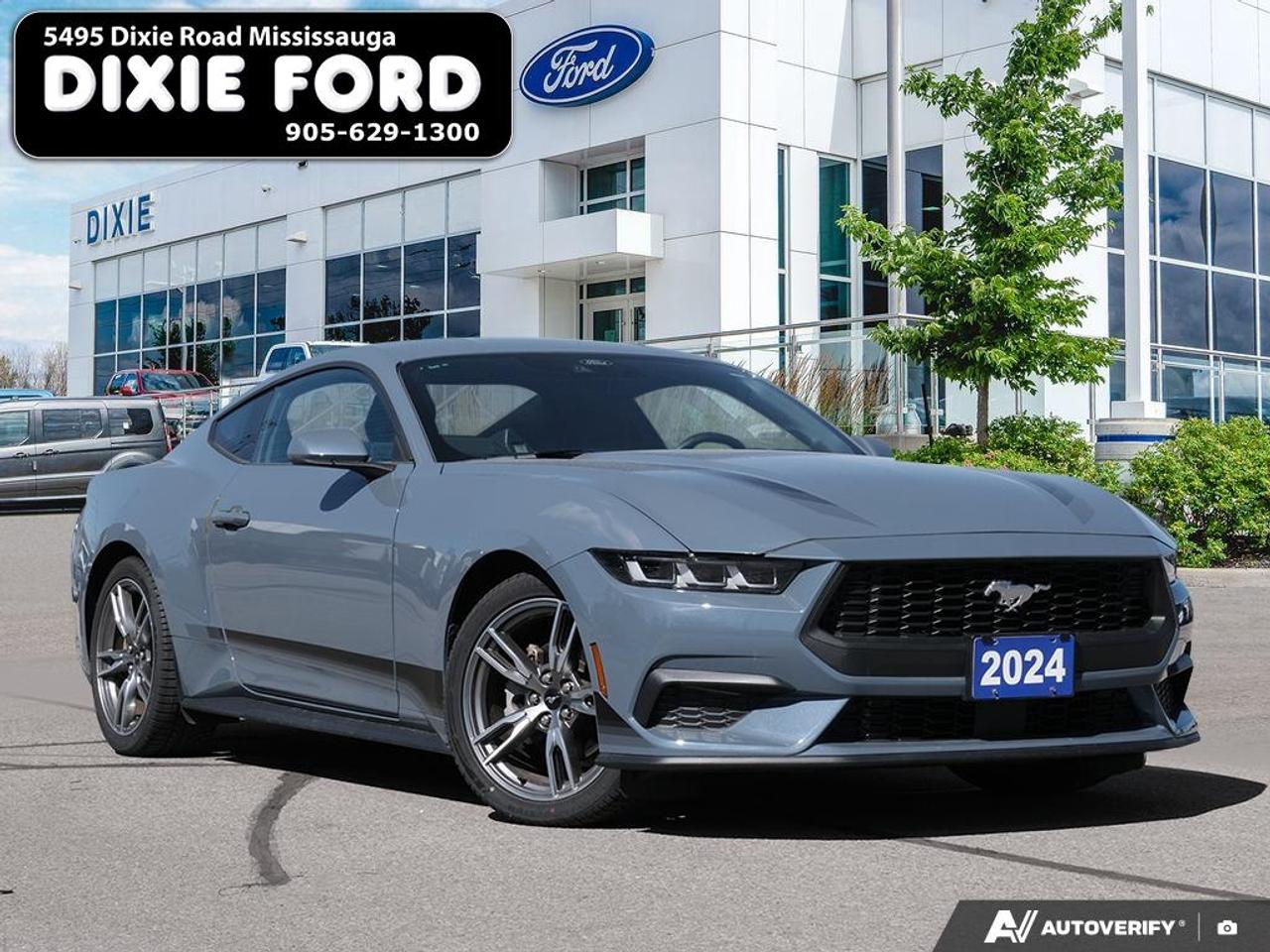 2024 Ford Mustang EcoBoost Photo
