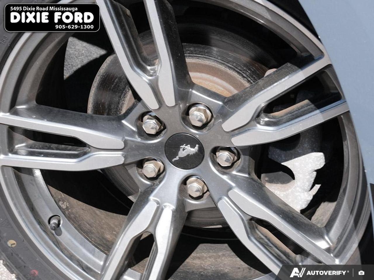 2024 Ford Mustang EcoBoost Photo
