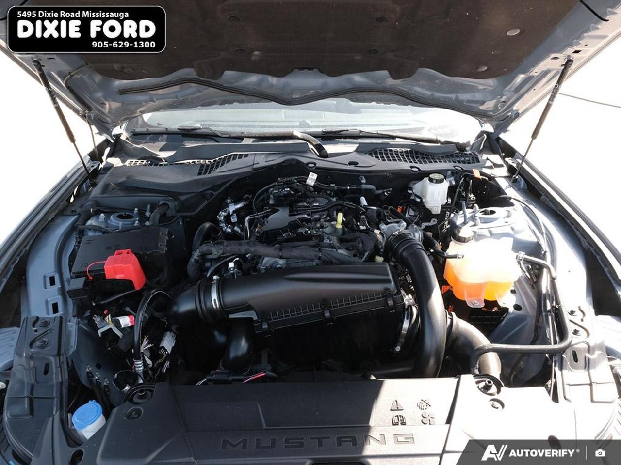 2024 Ford Mustang EcoBoost Photo