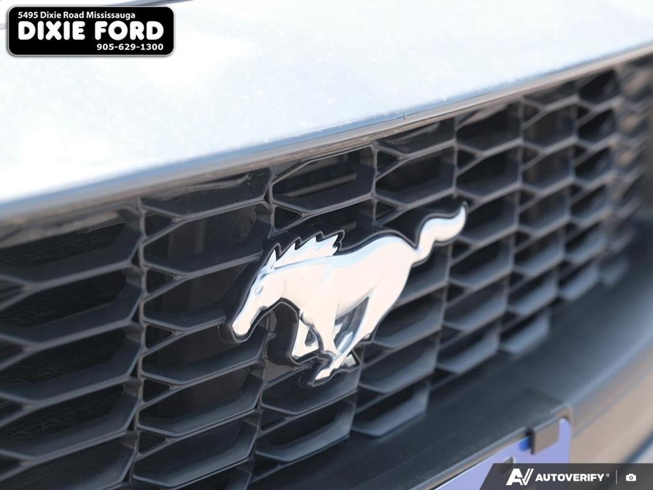 2024 Ford Mustang EcoBoost Photo