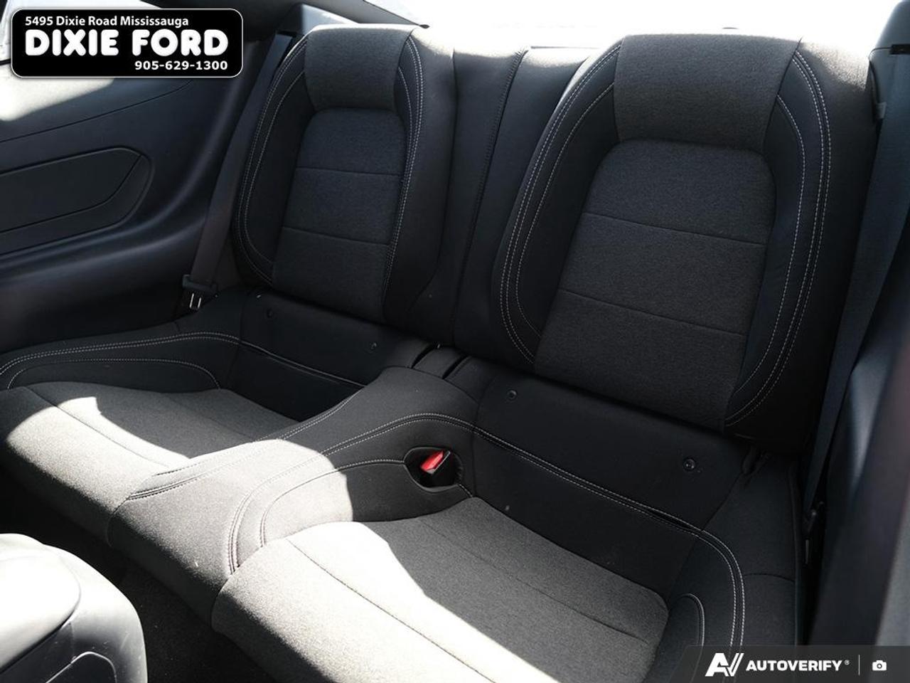 2024 Ford Mustang EcoBoost Photo
