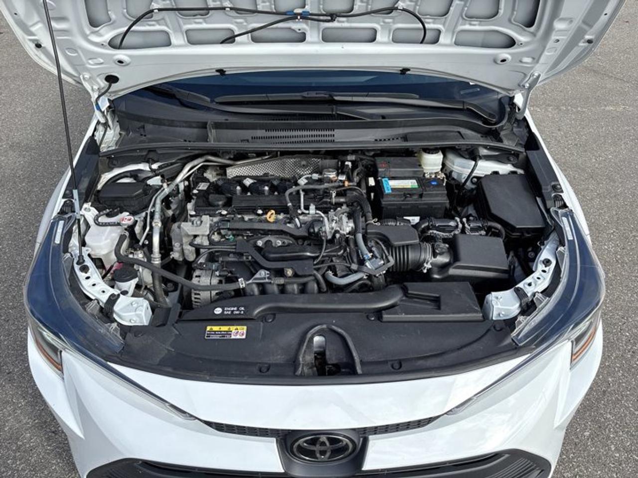 2024 Toyota Corolla LE | ONE OWNER | NO ACCIDENTS Photo