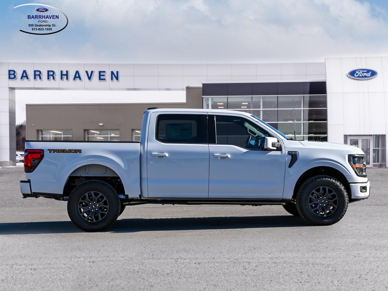 2026 Ford F-150 Tremor Photo