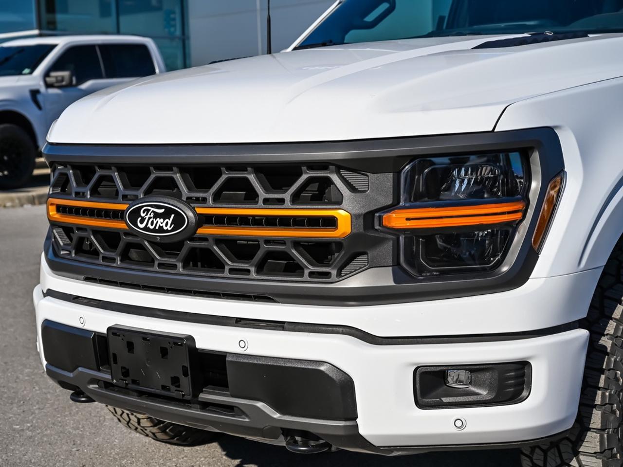 2026 Ford F-150 Tremor Photo