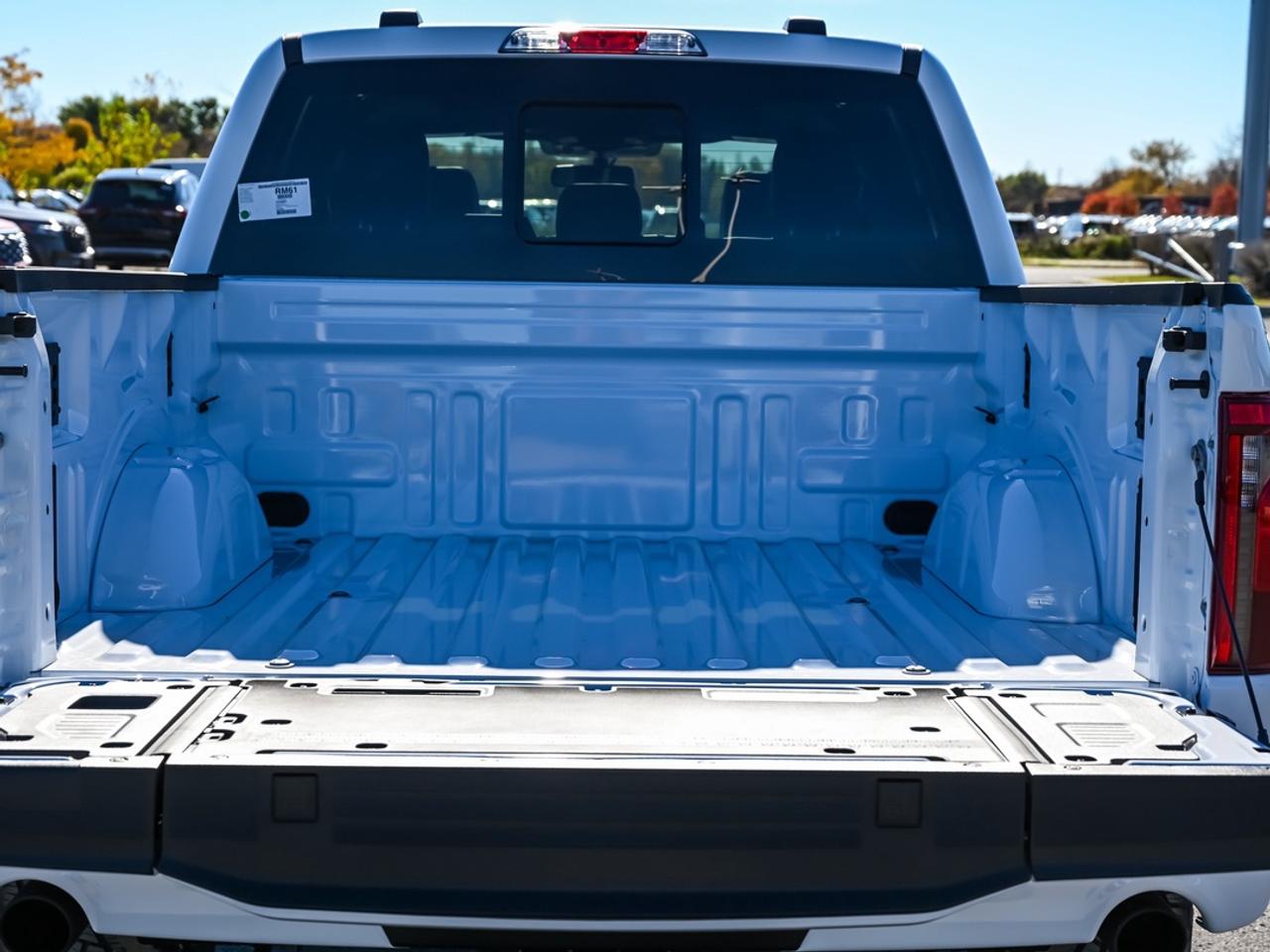 2026 Ford F-150 Tremor Photo