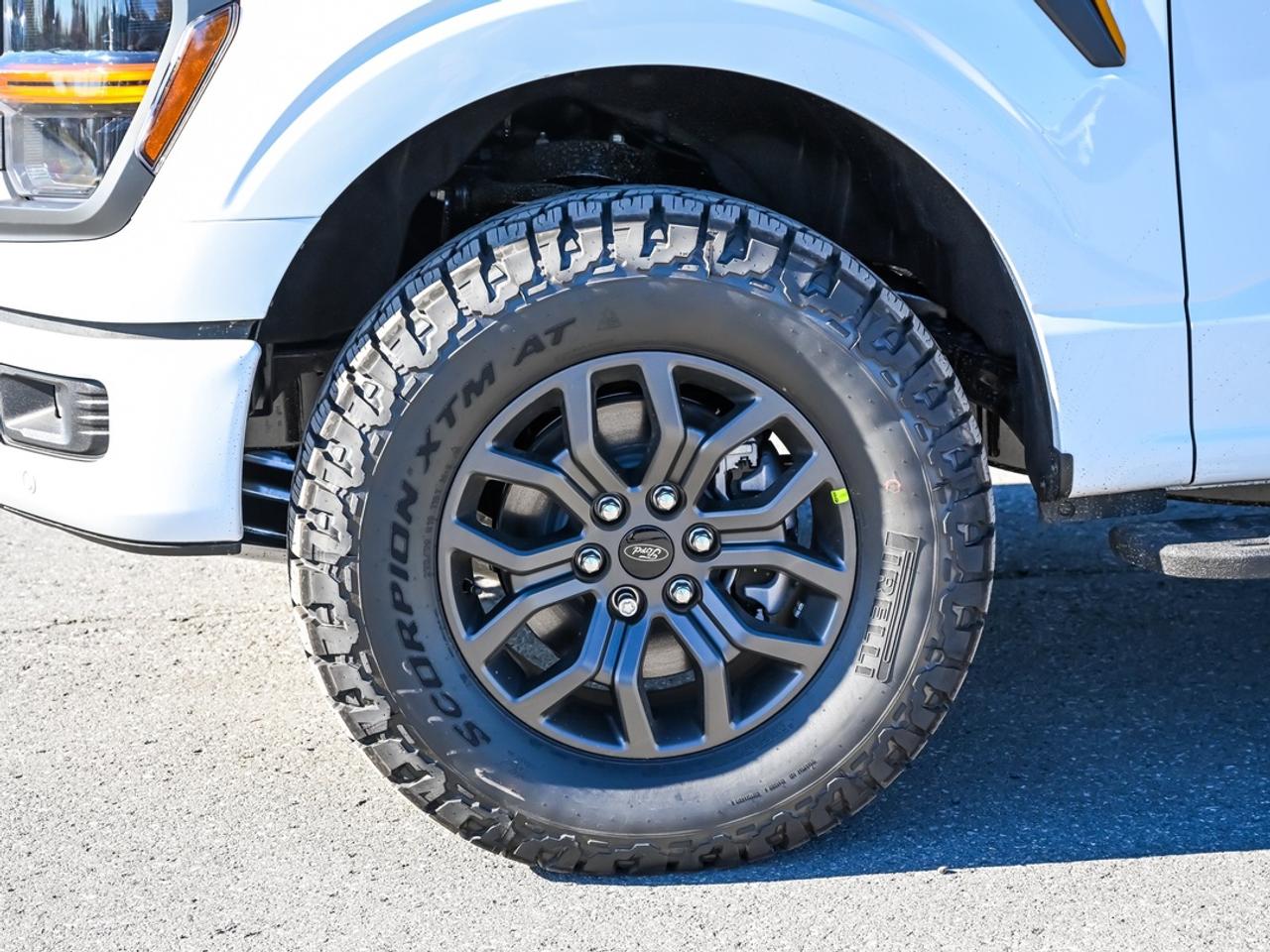 2026 Ford F-150 Tremor Photo