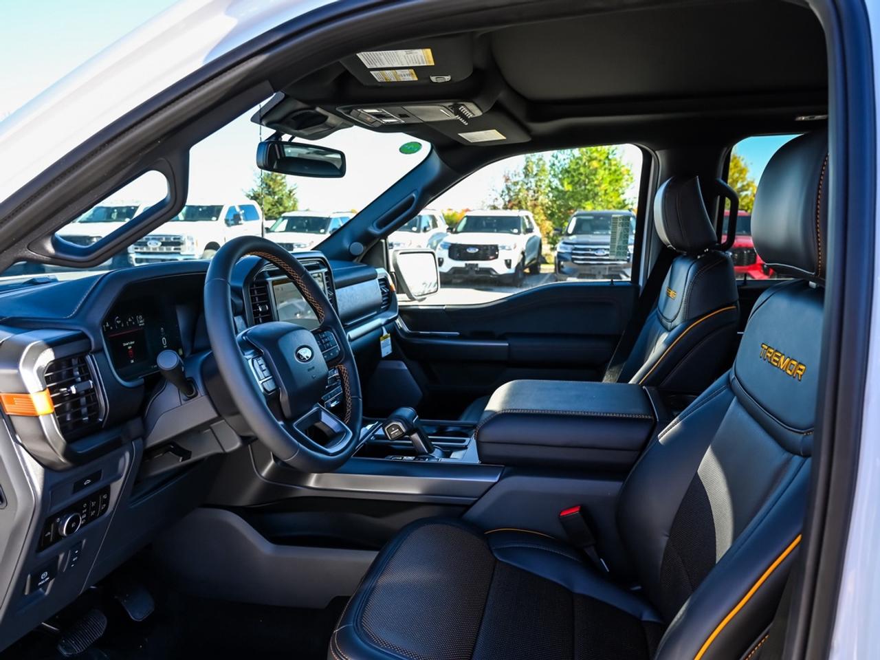 2026 Ford F-150 Tremor Photo