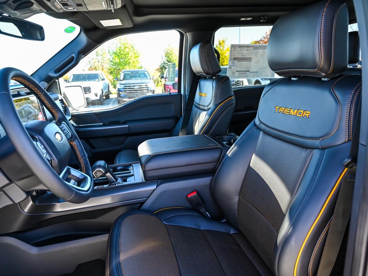2026 Ford F-150 Tremor Photo