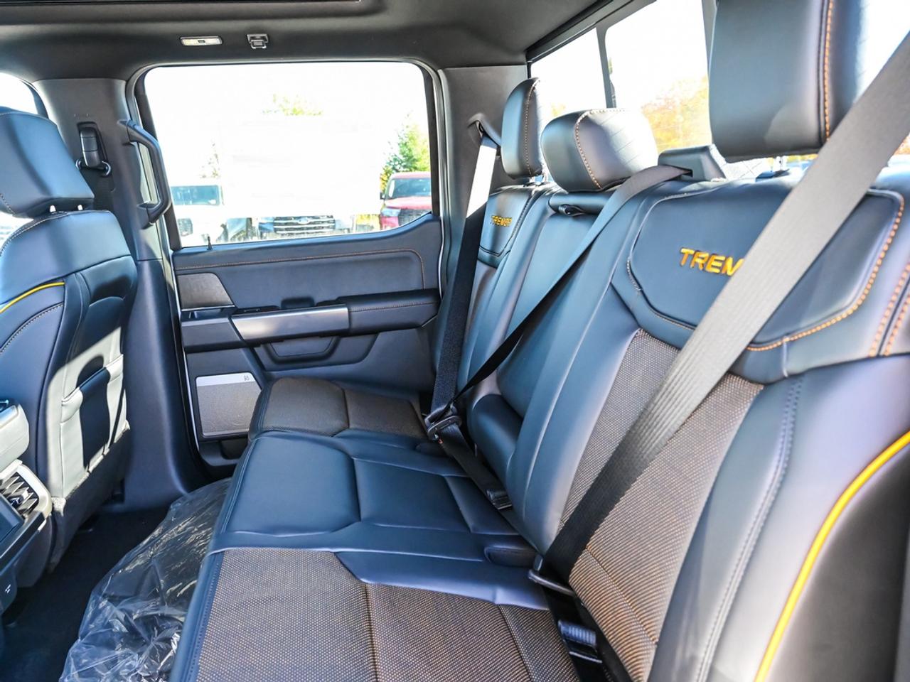 2026 Ford F-150 Tremor Photo