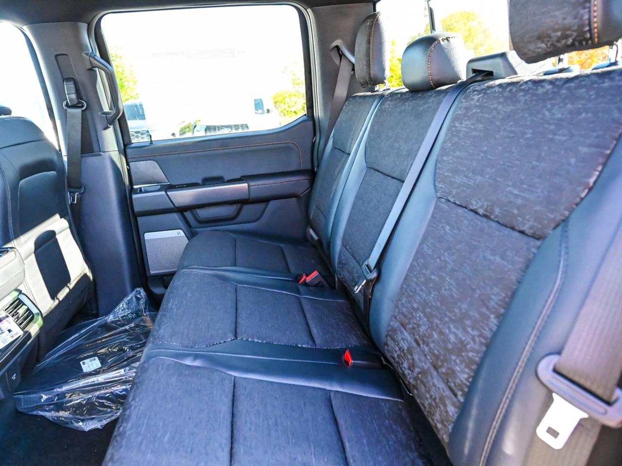 2026 Ford F-150 Tremor Photo