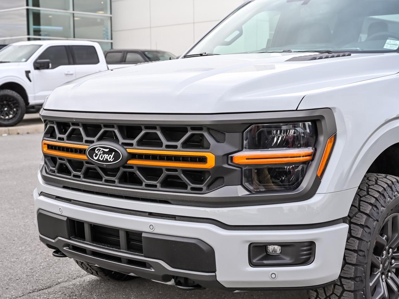 2026 Ford F-150 Tremor Photo