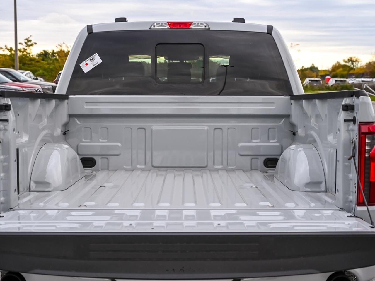 2026 Ford F-150 Tremor Photo