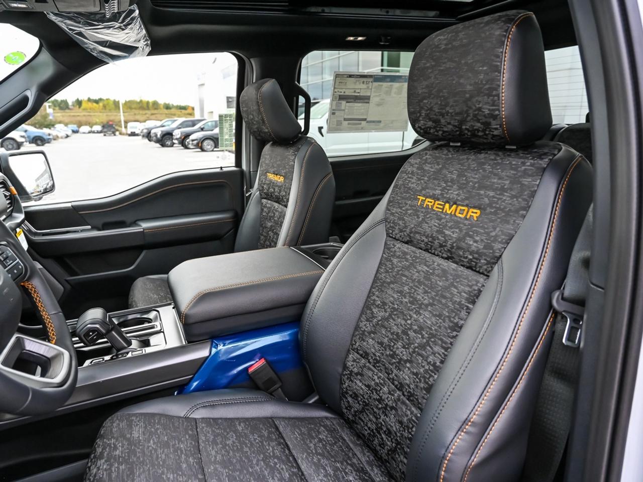2026 Ford F-150 Tremor Photo