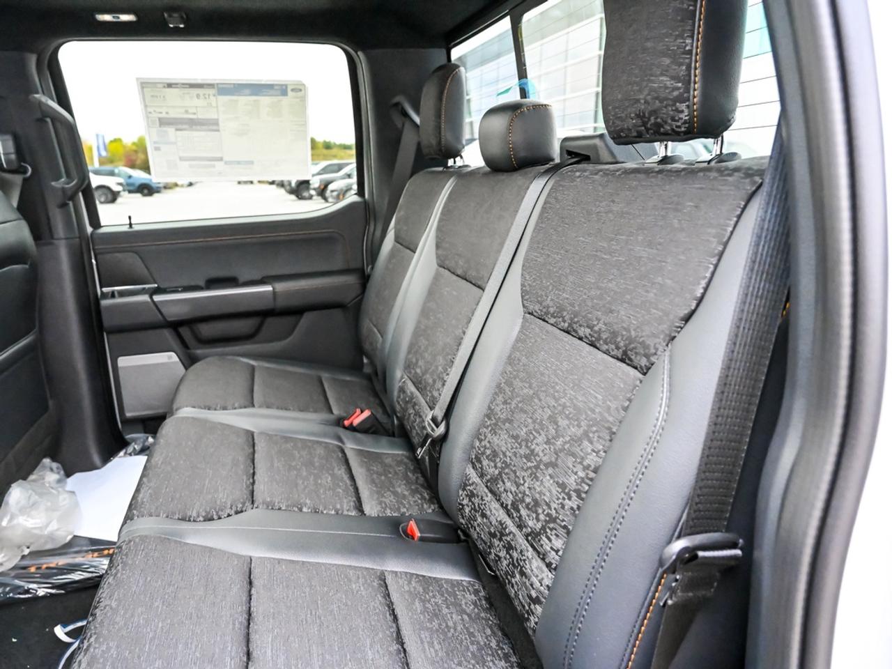 2026 Ford F-150 Tremor Photo