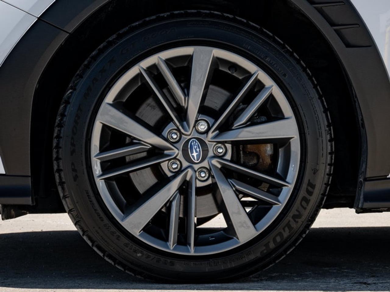 2024 Subaru WRX  Photo