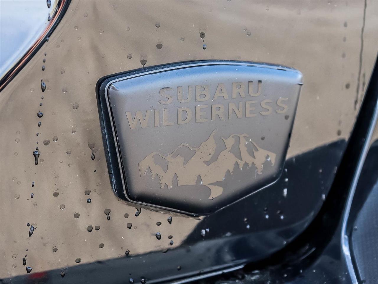 2025 Subaru XV Crosstrek Wilderness Photo