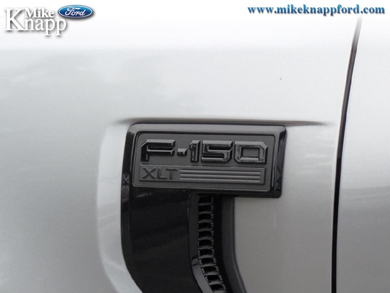 2026 Ford F-150 XLT Photo