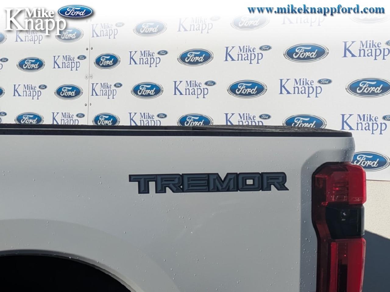 2027 Ford F-350 Super Duty Platinum Photo