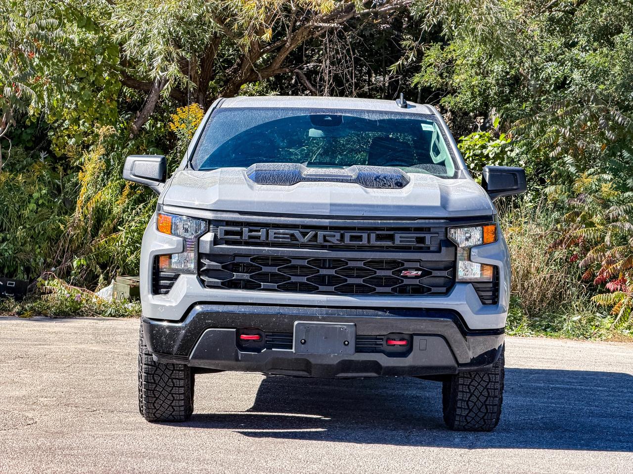 2024 Chevrolet Silverado 1500 Custom Trail Boss Photo4