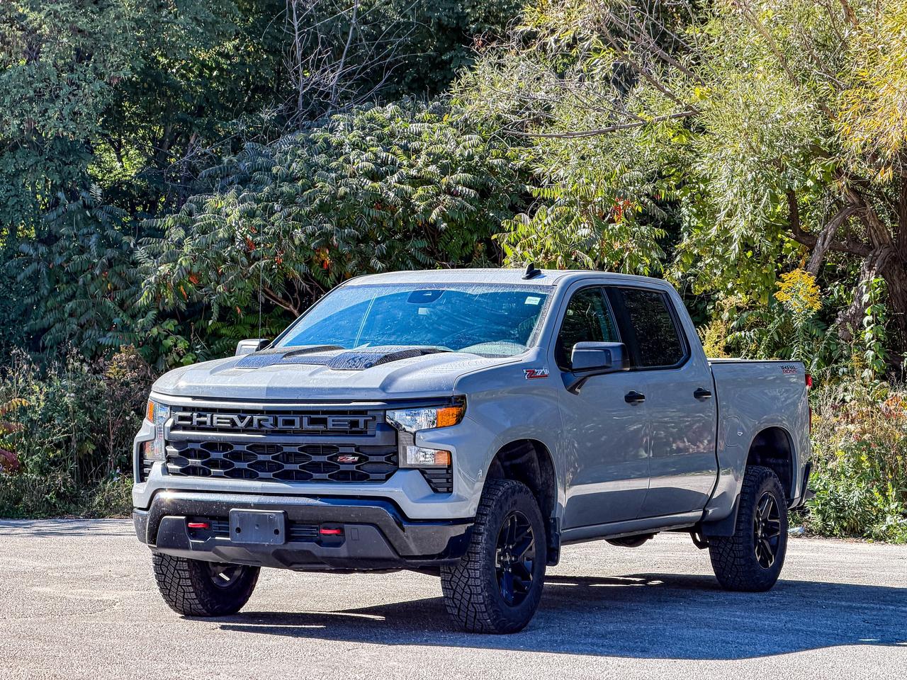 2024 Chevrolet Silverado 1500 Custom Trail Boss Photo