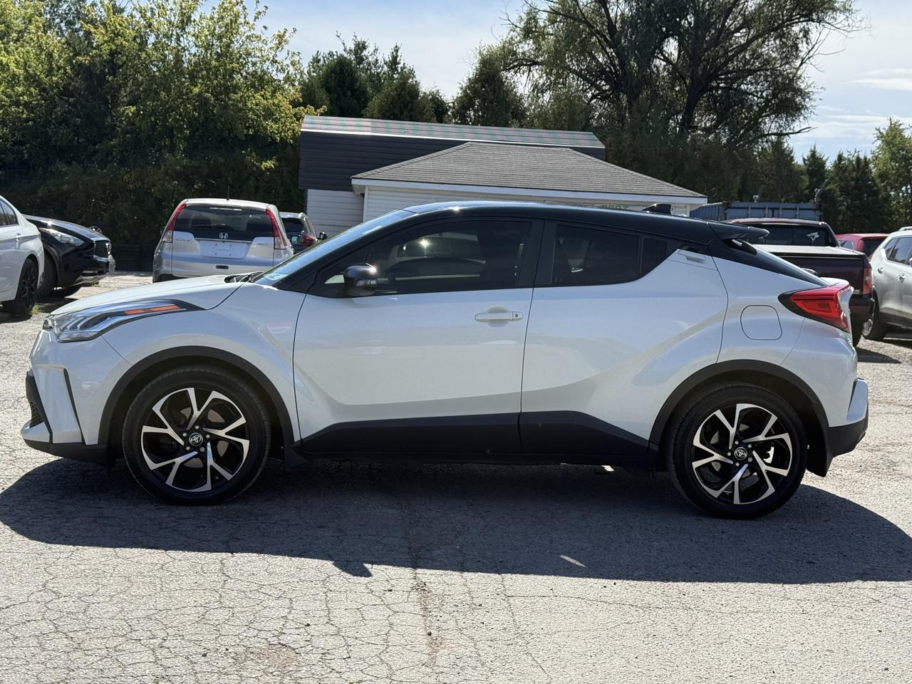2020 Toyota C-HR XLE Premium Photo
