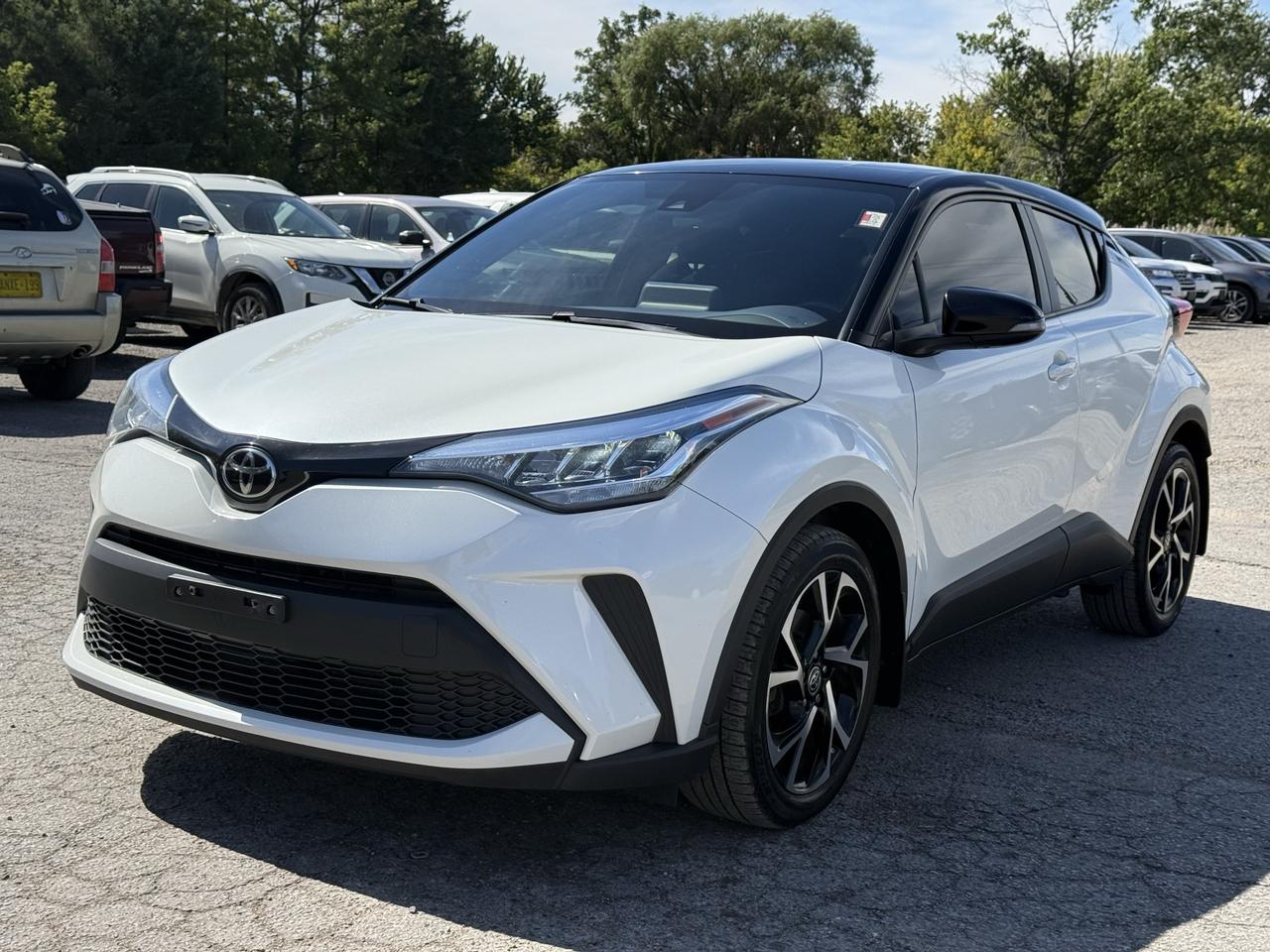 2020 Toyota C-HR XLE Premium Photo