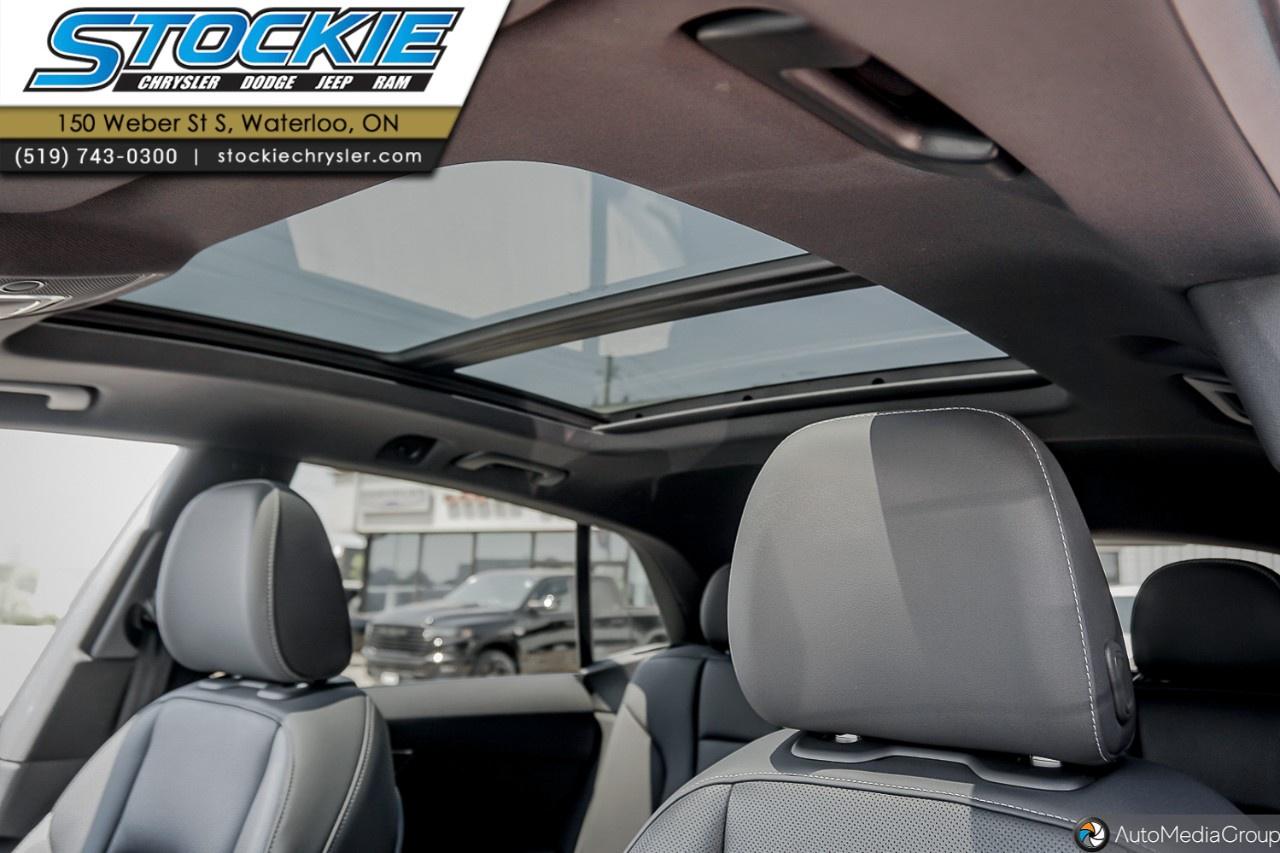 2020 Audi Q8 Progressiv 55 TFSI quattro Photo