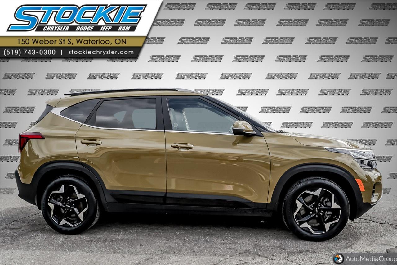 2024 Kia Seltos  Photo