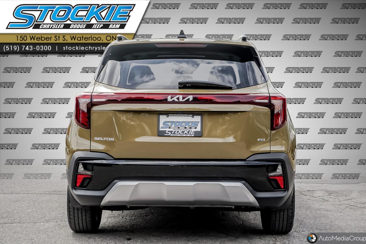 2024 Kia Seltos  Photo