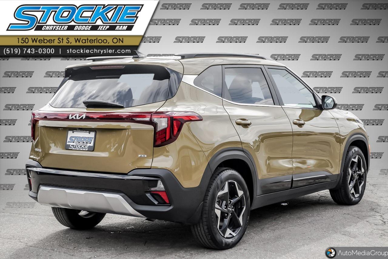 2024 Kia Seltos  Photo