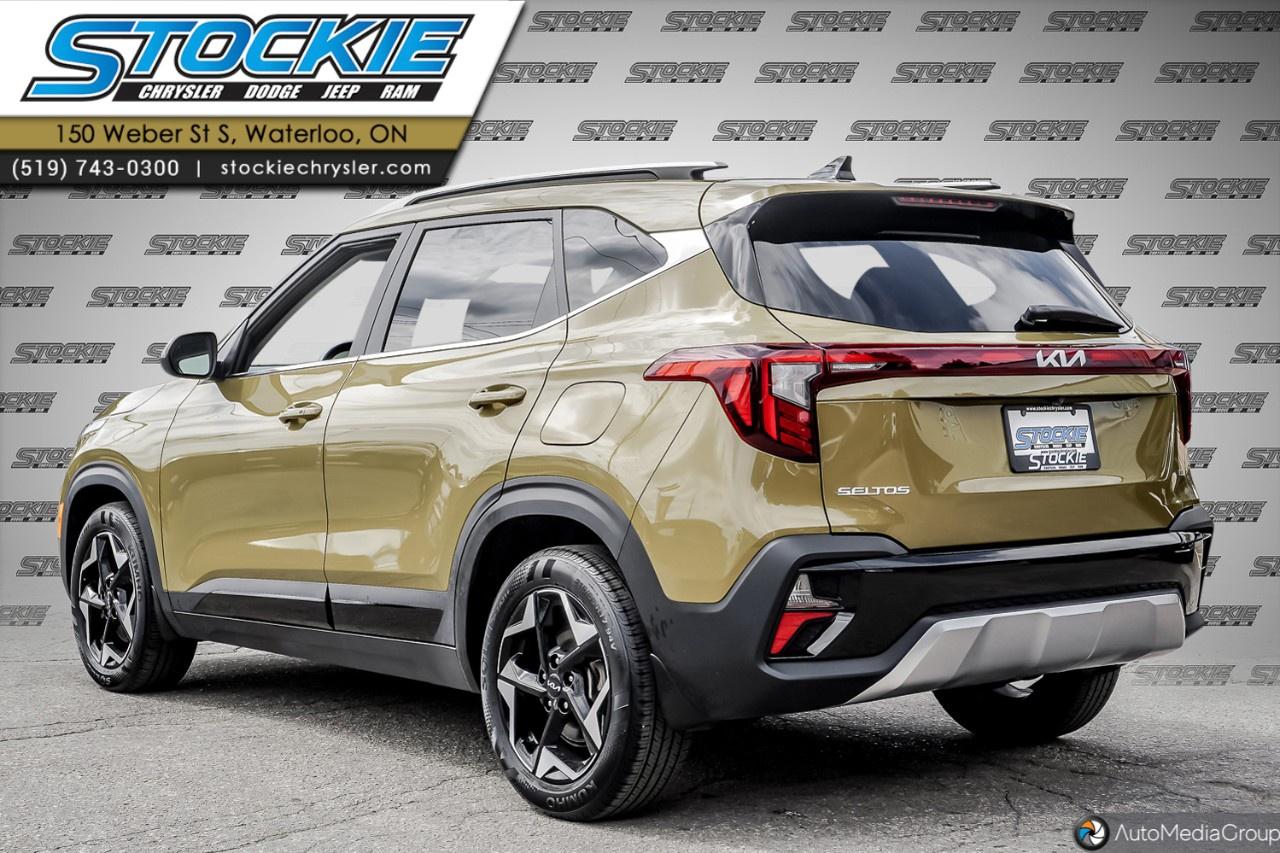 2024 Kia Seltos  Photo