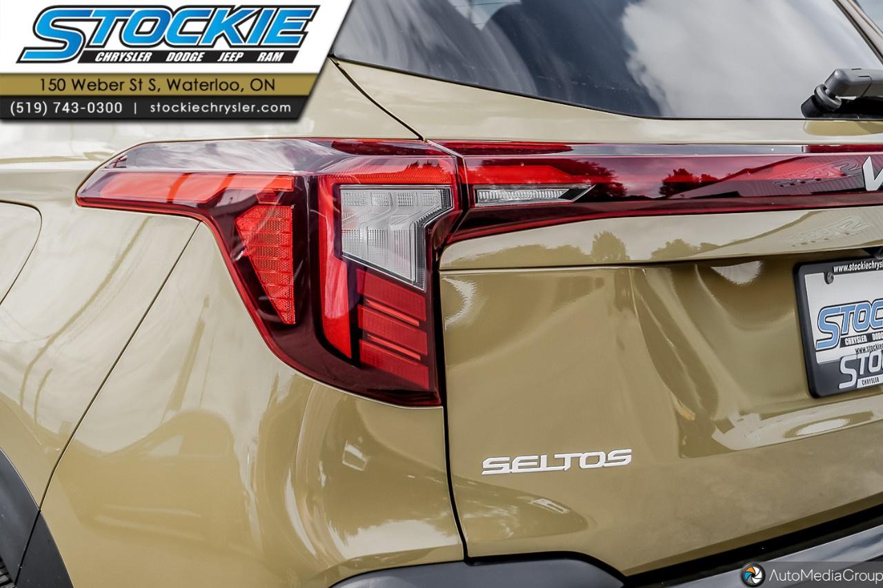 2024 Kia Seltos  Photo
