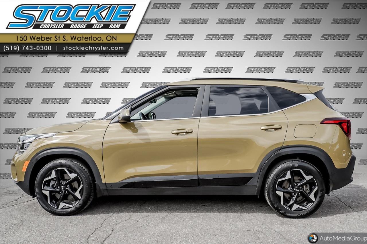 2024 Kia Seltos  Photo