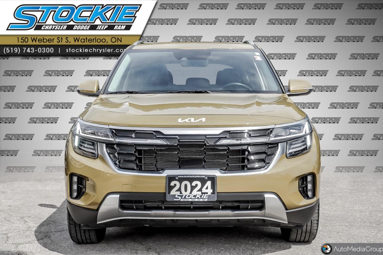 2024 Kia Seltos  Photo