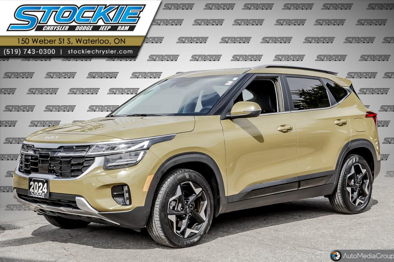2024 Kia Seltos  Photo