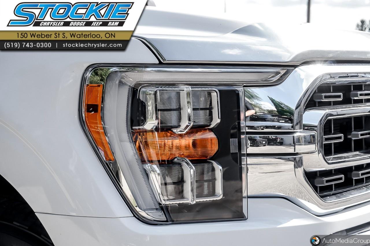 2022 Ford F-150  Photo5