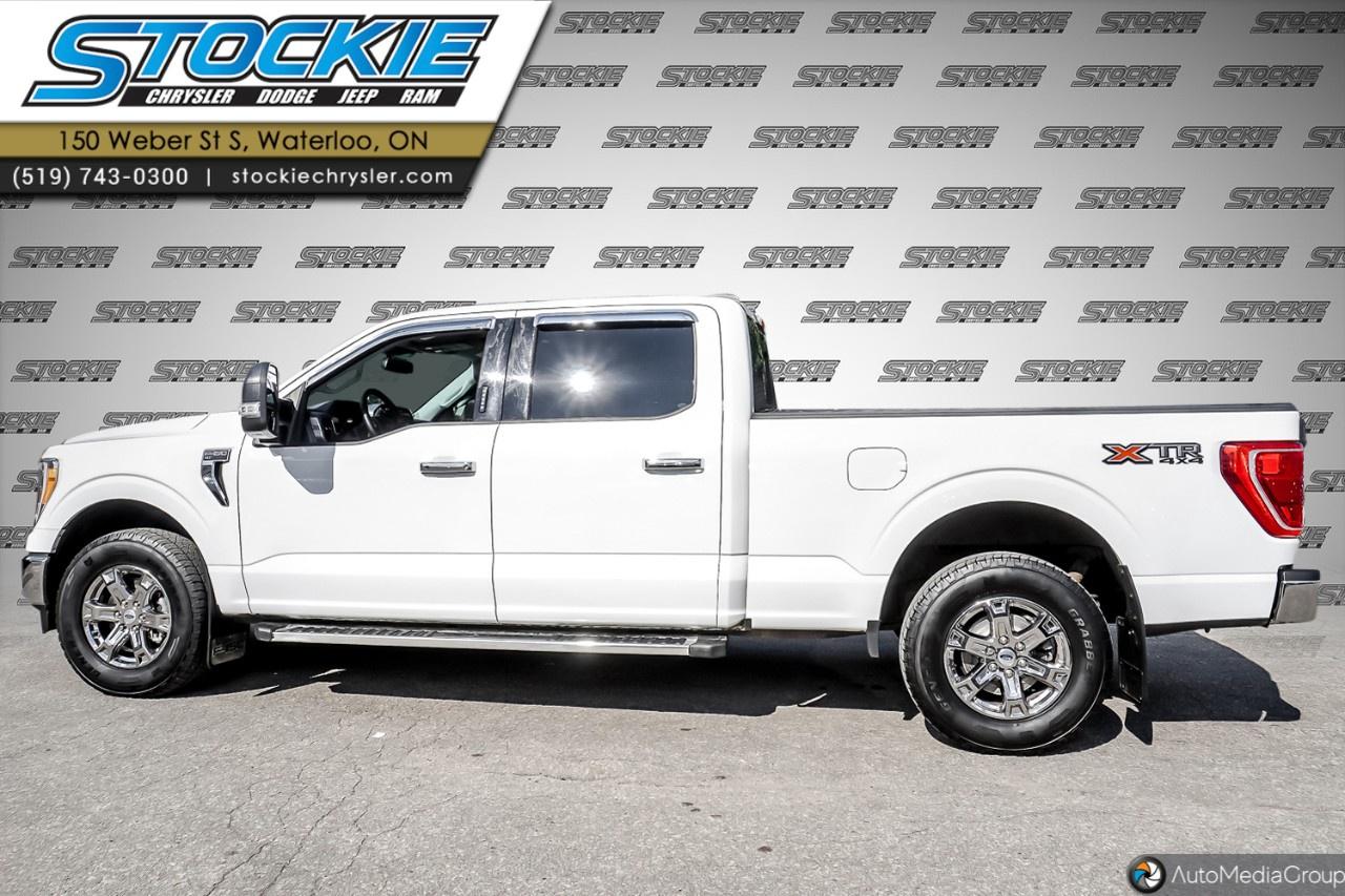 2022 Ford F-150  Photo