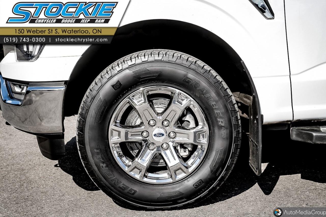 2022 Ford F-150  Photo