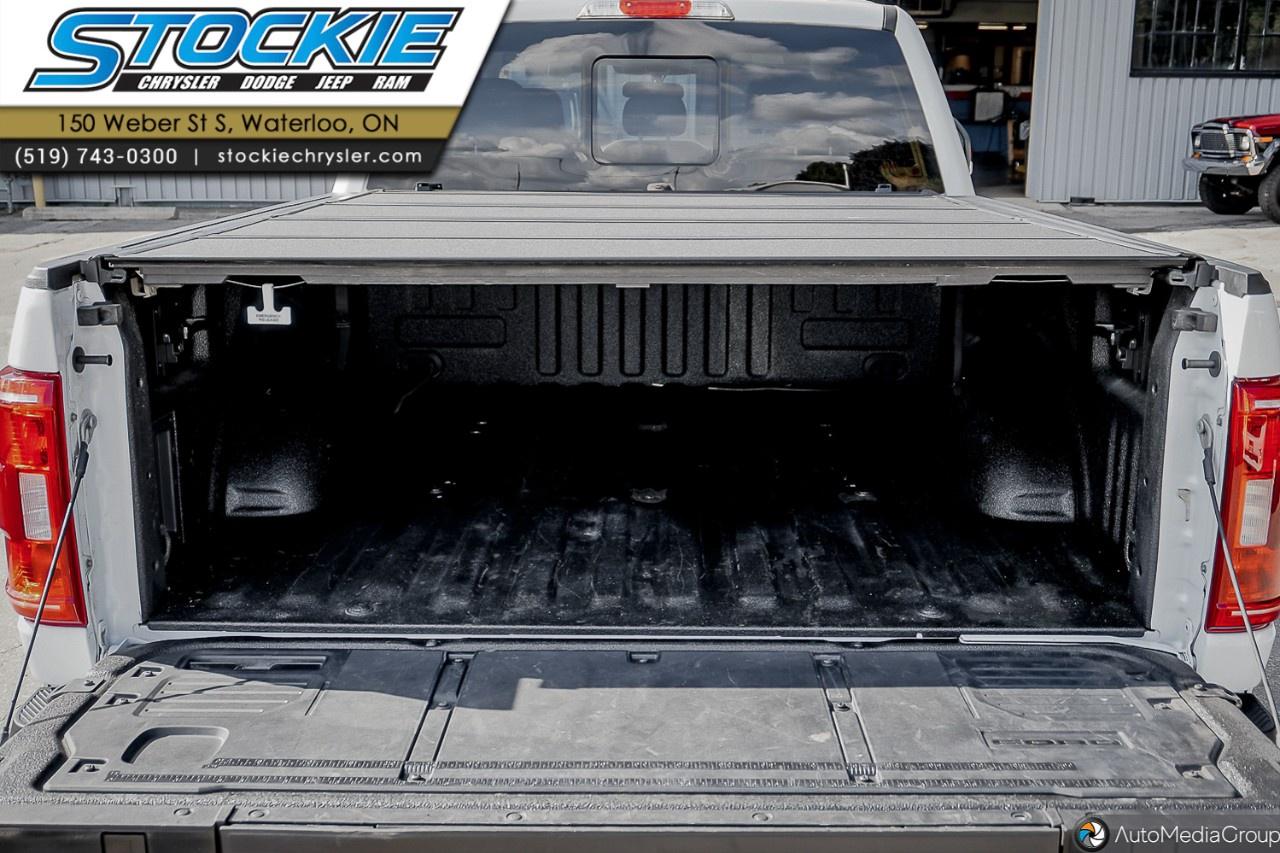 2022 Ford F-150  Photo