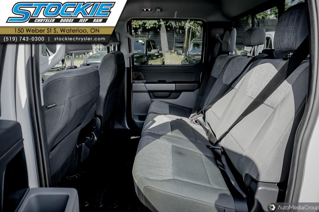 2022 Ford F-150  Photo