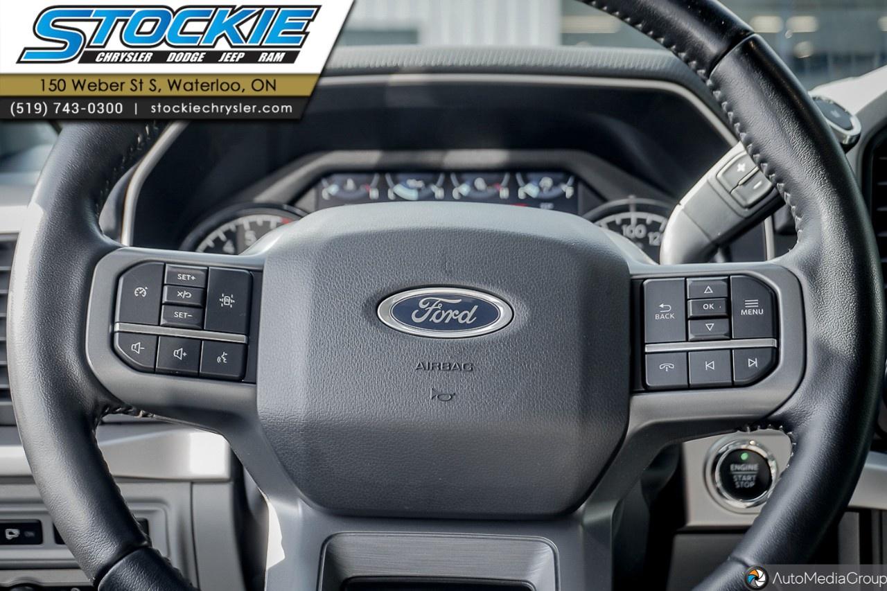 2022 Ford F-150  Photo