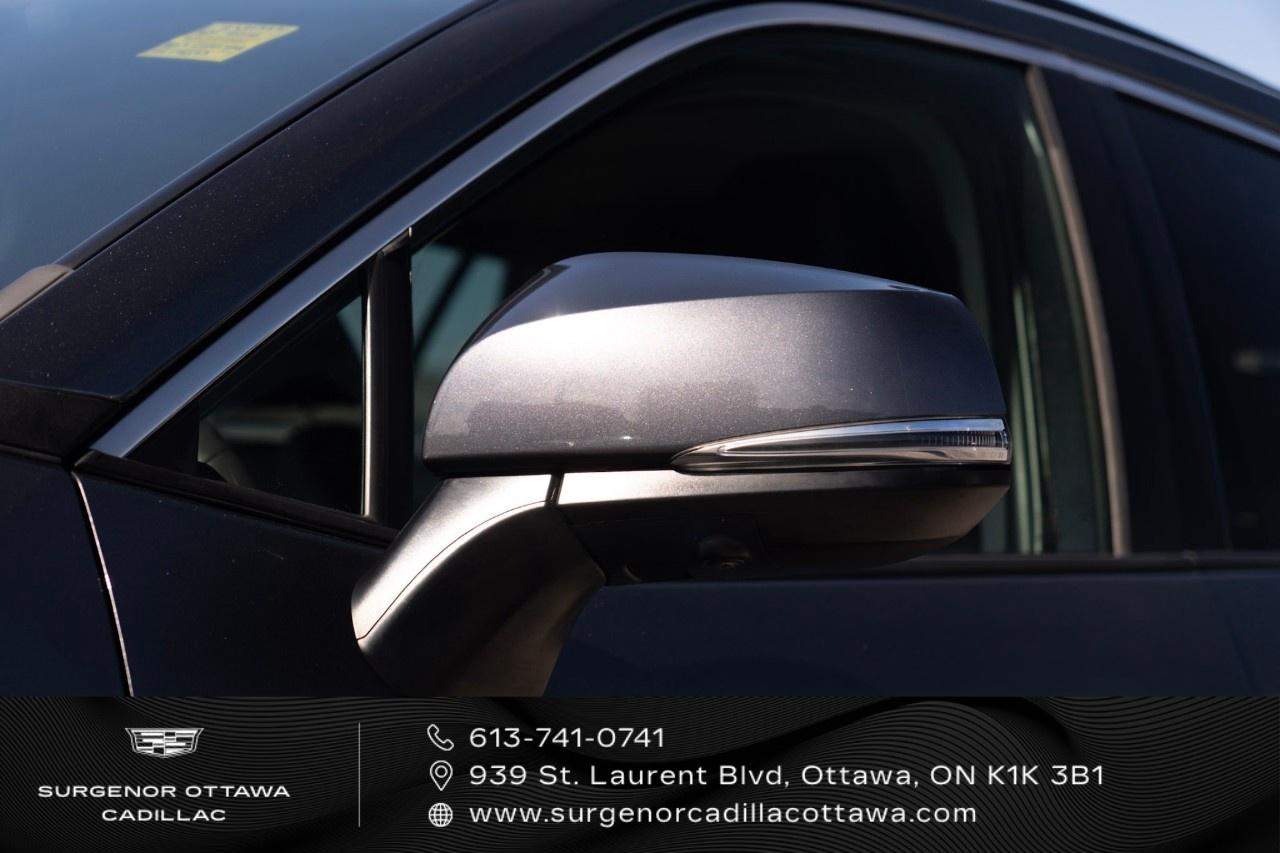 2021 Toyota RAV4 LIMITED AWD Photo