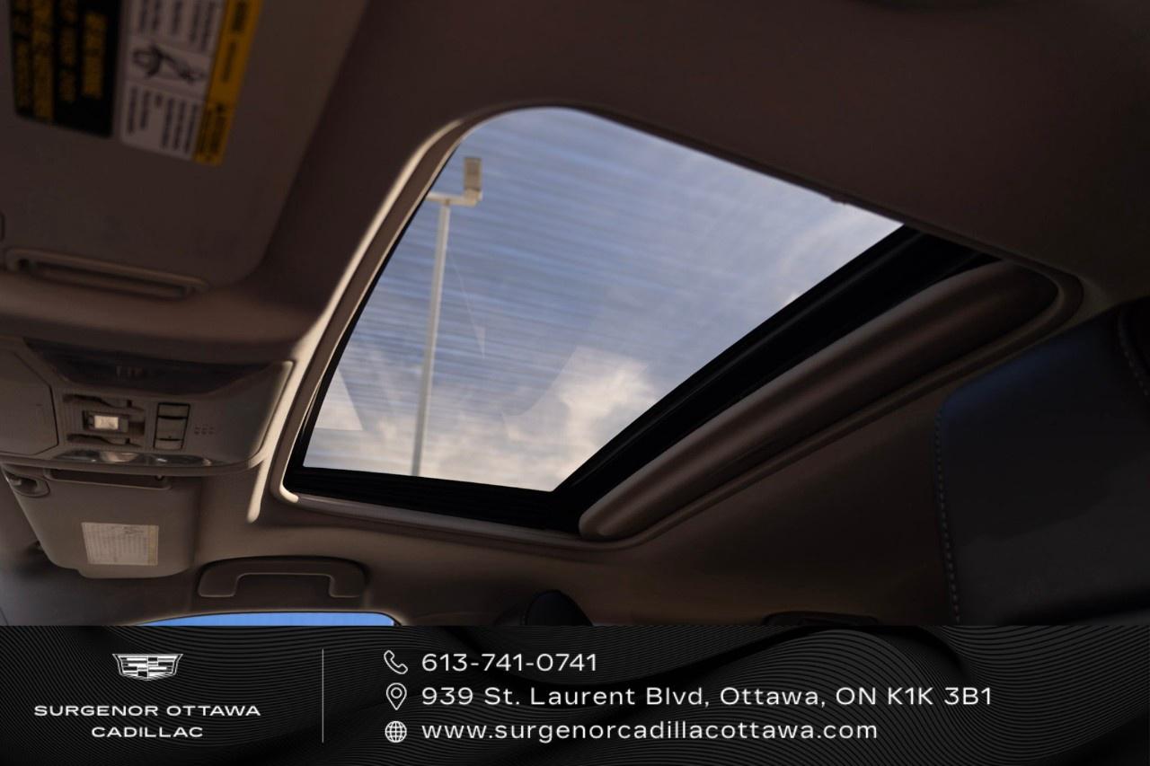 2021 Toyota RAV4 LIMITED AWD Photo